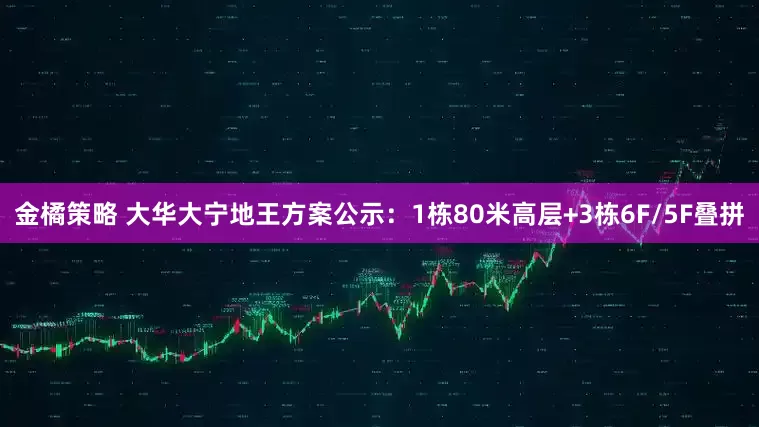 金橘策略 大华大宁地王方案公示：1栋80米高层+3栋6F/5F叠拼