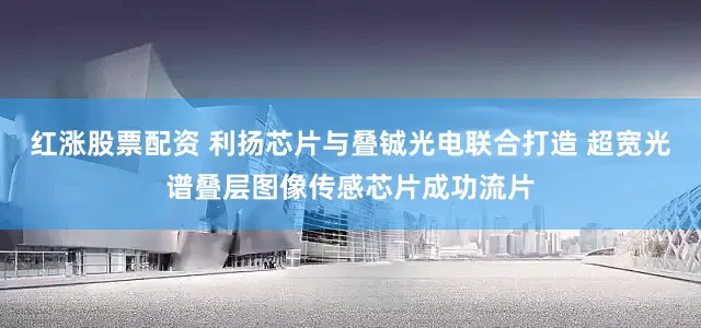 红涨股票配资 利扬芯片与叠铖光电联合打造 超宽光谱叠层图像传感芯片成功流片