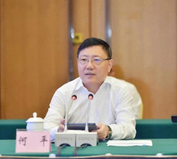 凤凰配资 涉嫌严重违纪违法，巴中市委原书记何平，被查！